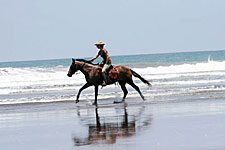 Costa Rica-Pacific Coast-Kaleidoscope Ride - Volcanoes and Paramo